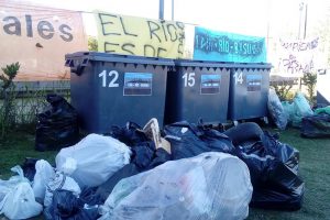 Análisis sobre la segunda Jornada de limpieza del río Paraná (2017)