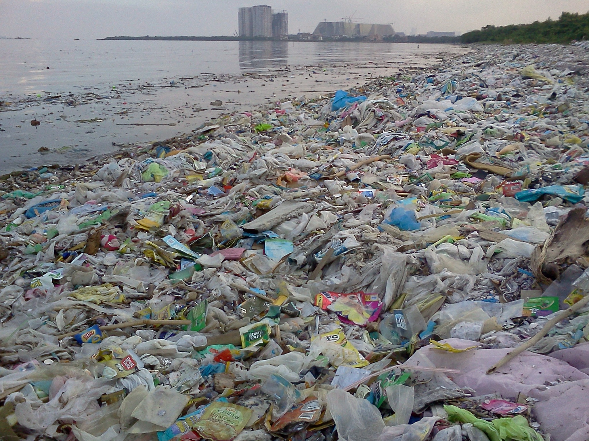 “Hay mucha expectativa con el Tratado global sobre plásticos”
