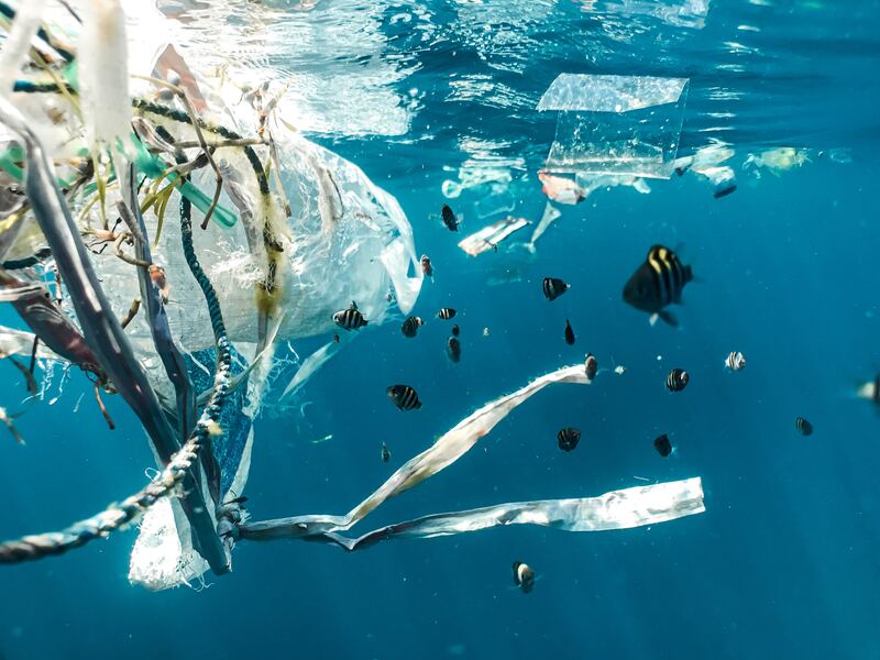 Tratado Global de Plásticos: “Es indispensable reducir al máximo la producción y consumo de plásticos”