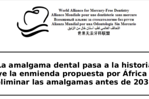 Amalgamas dentales: Informe enviado a Cancillería y al Ministerio de Ambiente
