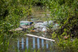 Nota al Concejo Municipal sobre plásticos de un solo uso