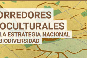 Informe Corredores Bioculturales en la Estrategia Nacional de Biodiversidad