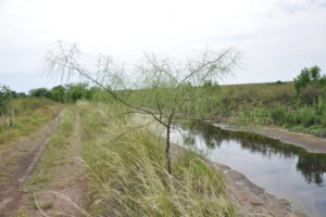 Proyecto de Ley para la creación del área protegida “Reserva San Jorge”