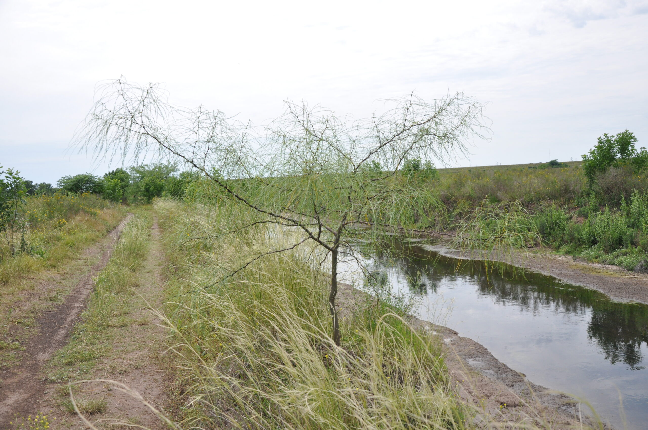 Proyecto de Ley para la creación del área protegida “Reserva San Jorge”