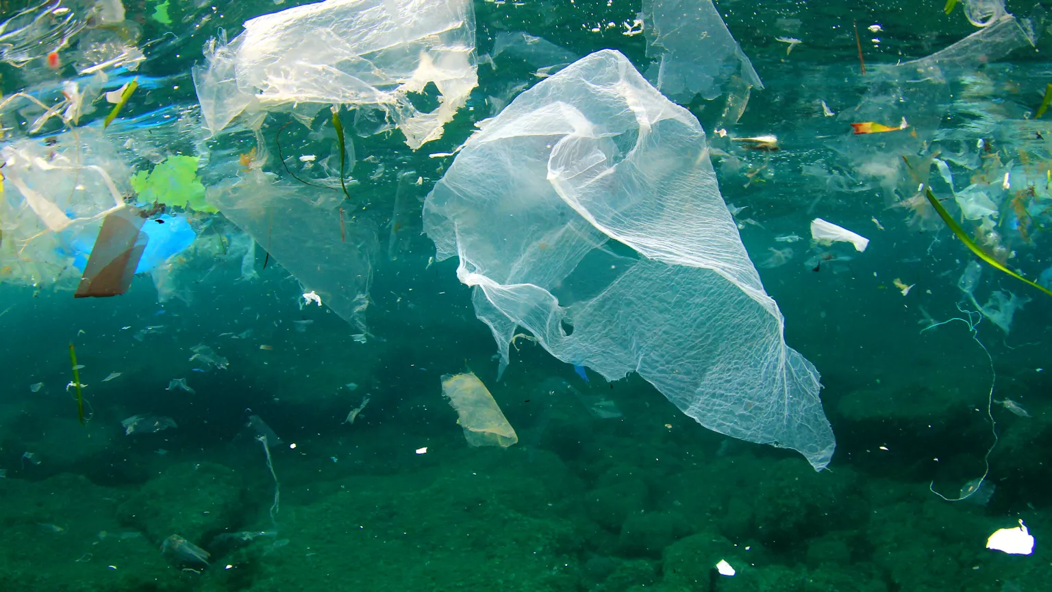 En todo el mundo crece el apoyo para lograr un ambicioso Tratado Global de Plásticos