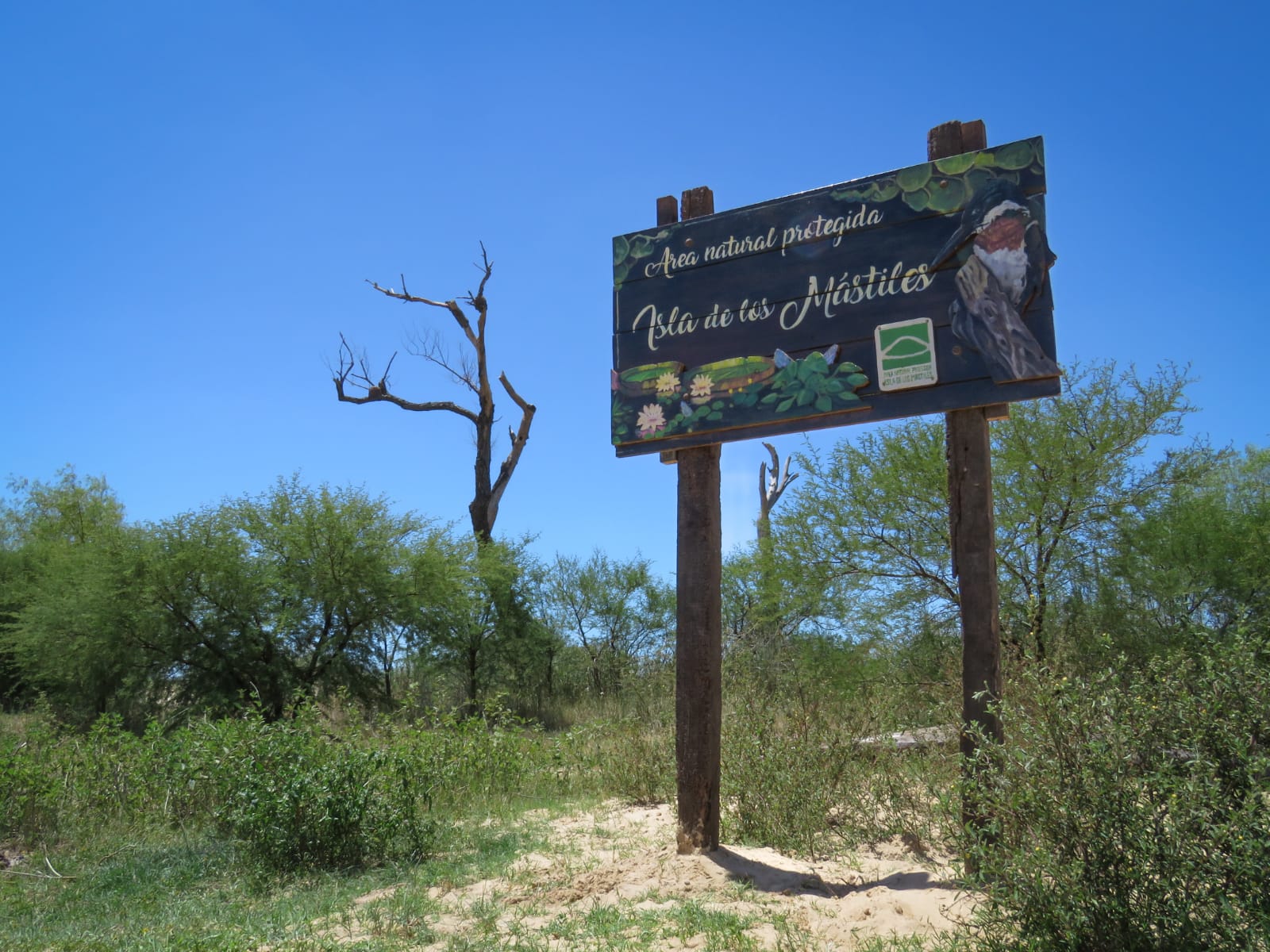 Isla de los Mástiles en riesgo: Capitán Bermúdez entrega parte del espacio público