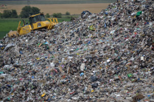 Mucho más que olor a podrido