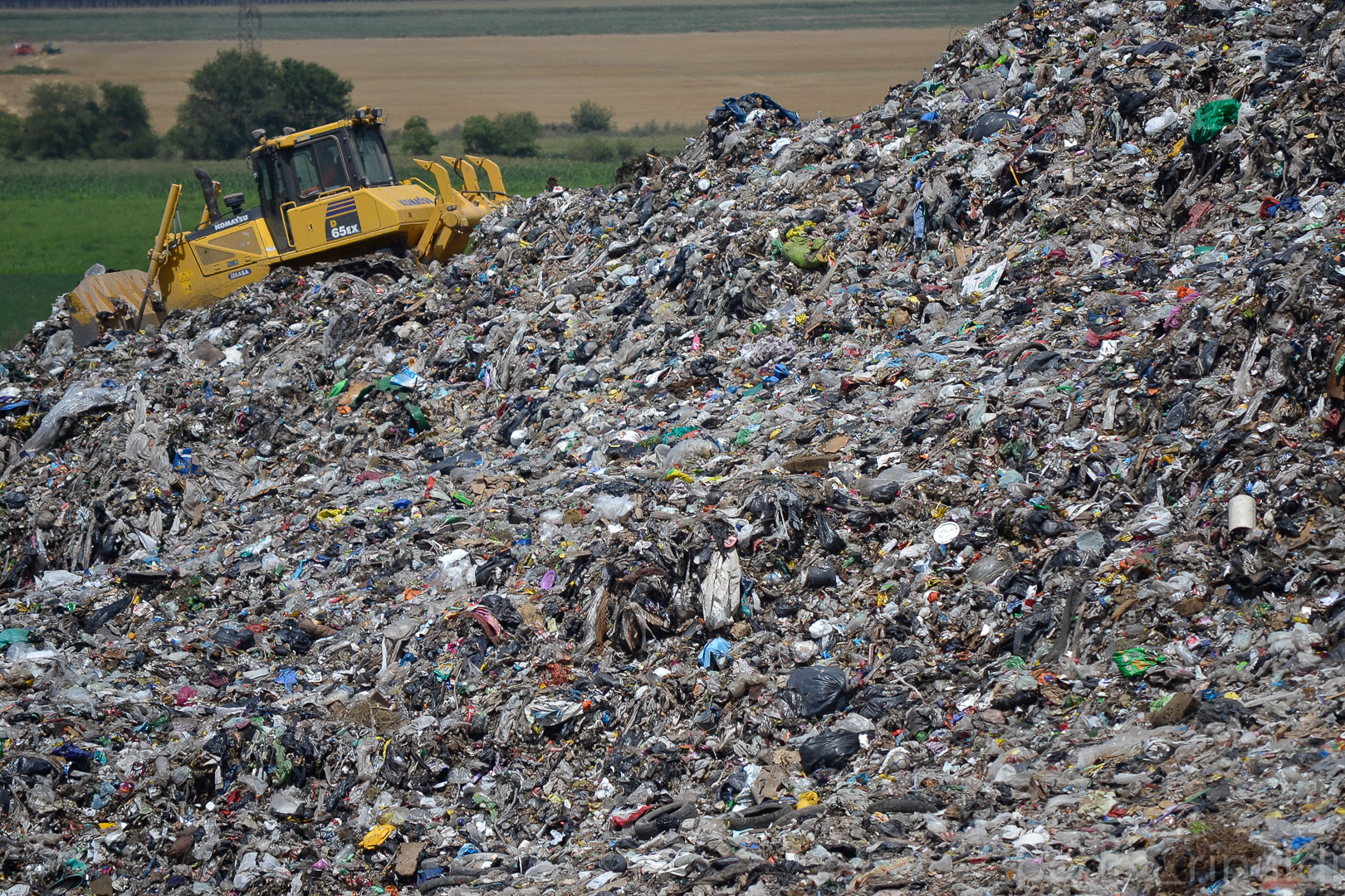 Mucho más que olor a podrido