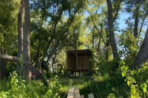 Intento de ocupación ilegal en la Isla de Los Mástiles