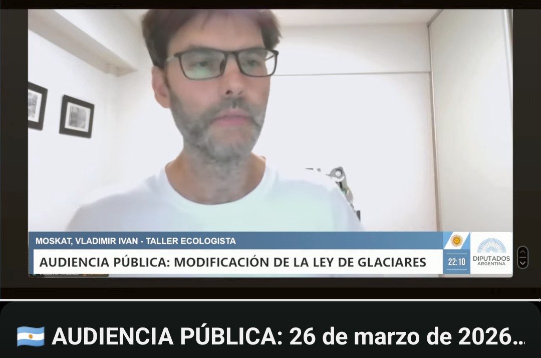 Expusimos en la Audiencia Pública por la reforma de la Ley de Glaciares