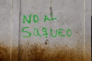 Carta abierta: Más de mil científicos e investigadores advierten sobre los riesgos del “súper RIGI”